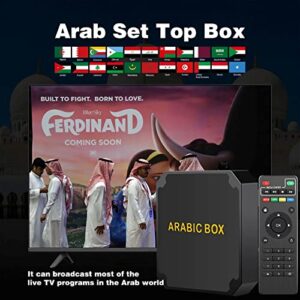 A1 2023 Arabic TV Box Arab TV Box The Upgrade Version of Arabic Box Strong Wi-Fi Support Bluetooth Core Mali-450 GPU