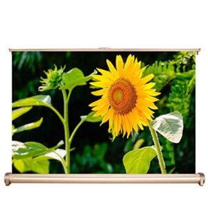 20″ inch portable projector screen, 16:9 manual floor pull up, with scissor backed projector screen, portable home theater office classroom projection screen