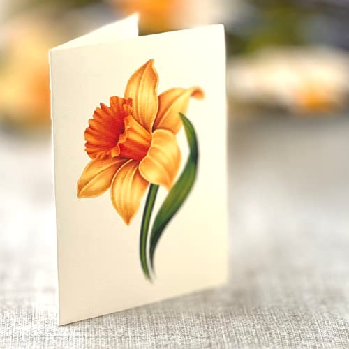 Freshcut Paper Pop Up Cards, English Daffodils, 12 inch Life Sized Forever Flower Bouquet 3D Popup Greeting Cards with Note Card and Envelope