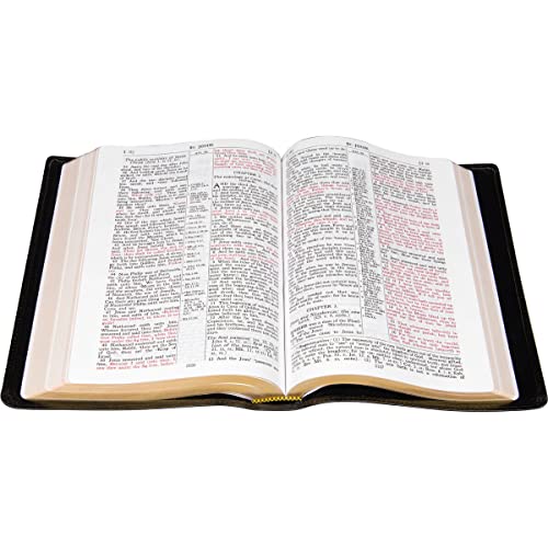 KJV Classic Large Print Study Bible (With C.I. Scofield Notes) - Lambskin Edition