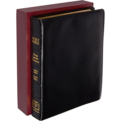 KJV Classic Large Print Study Bible (With C.I. Scofield Notes) - Lambskin Edition
