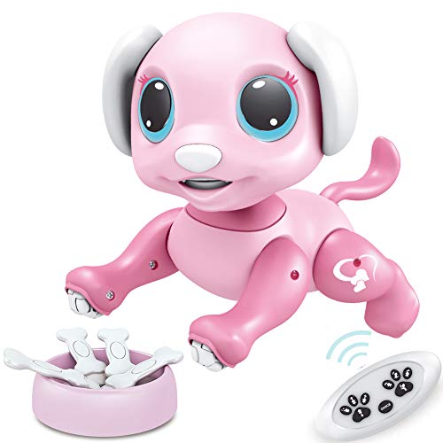 BIRANCO. Remote Control Dog Gesture Sensing - Smart Puppy Pink Toy Robot Pet Walks Barks Interactive with Toddler, STEM Play, Best Christmas Holiday Birthday Gifts for 3 4 5 6 7 8 Years Old Girl from