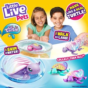 Little Live Pets 26348 Lil, S9 Single Pack-Styles Vary, Interactive, Animated Electronic Turtle, Walking & Swimming Movement, collectable pet Character Toy