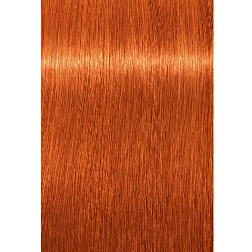 Schwarzkopf Professional Igora Royal Permanent Hair Color, 8-77, Light Blonde Copper, 60 Gram