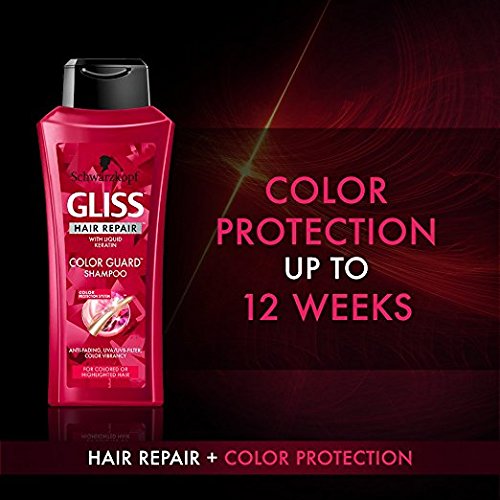 GLISS Hair Repair Color Guard Set with Shampoo and Conditioner for Colored or Highlighted Hair, 13.6 Fl Oz (Pack of 2)