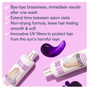 Purple Shampoo for Blonde Hair - Blonde Toner Eliminates Brassy Yellow Tones for Bleached, Platinum, Bleached, Gray, Ash, Silver & Blonde Hair - Paraben & Sulfate-Free, Cruelty-Free & Vegan - 8 Fl Oz