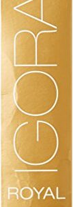 Schwarzkopf Professional Igora Royal Absolutes Hair Color - 6-70 Dark Blonde Copper Natural