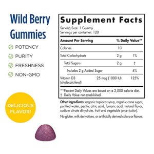 Nordic Naturals Vitamin D3 Gummies, Wild Berry - 120 Gummies - 1000 IU Vitamin D3 - Great Taste - Healthy Bones, Mood & Immune System Function - Non-GMO - 120 Servings