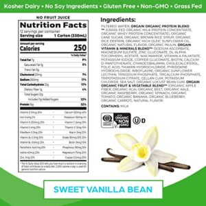 Orgain Organic Nutritional Shake, Vanilla Bean - Meal Replacement, 16g Grass Fed Whey Protein, 20 Vitamins & Minerals, Gluten Free, Soy Free, Kosher, Non-GMO, 11 Fl Oz (Pack of 12)