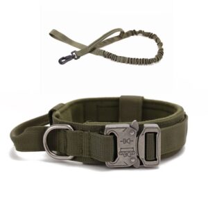 Tactical Dog Military Collar and Leash Set (Medium, Green)