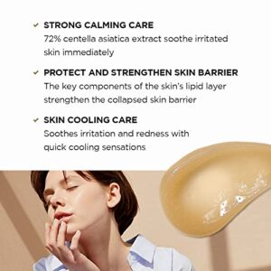 SKIN1004 Madagascar Centella Soothing Cream 2.53 fl.oz (75ml) | Quadruple Ceramide Complex | Strengthens Skin Barrier | Smooths Skin