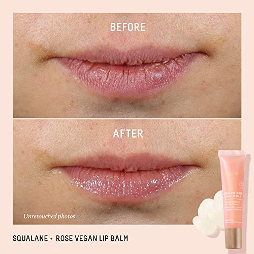 Biossance Squalane + Rose Vegan Lip Balm. Made with Hyaluronic Acid and Ceramides to Plump and Hydrate Dry Lips. Long-Lasting and Petroleum-Free (0.52 ounces)