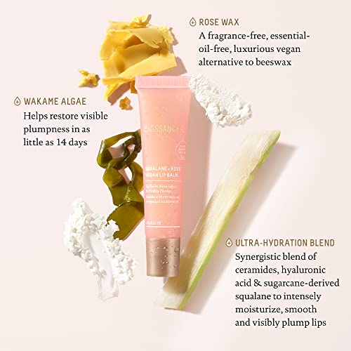 Biossance Squalane + Rose Vegan Lip Balm. Made with Hyaluronic Acid and Ceramides to Plump and Hydrate Dry Lips. Long-Lasting and Petroleum-Free (0.52 ounces)
