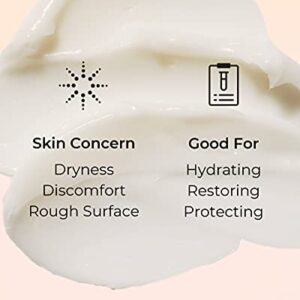 COSRX Balancium Comfort Ceramide Cream, 2.82 oz / 80g | Centella Asiatica Matte Balm | Korean Skin Care, Animal Testing Free, Paraben Free