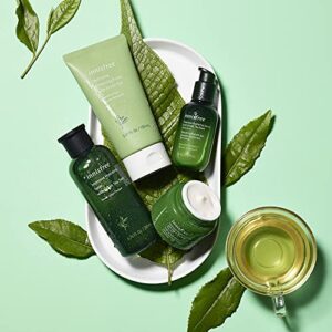 innisfree Green Tea Hydrating Cleansing Foam Creamy Face Cleanser