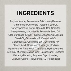 Torriden SOLID In Ceramide Lip Essence 0.37 Oz, Moisturizing Lip Essence for Glowy, Dewy, Plumped, and Radiant Lip with Organic Jojoba Seed Oil, Ceramides, and Fuligo Wax