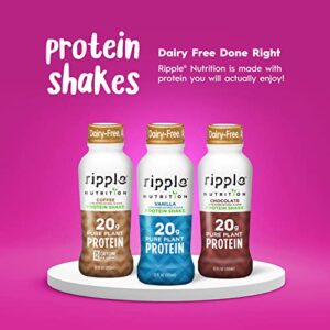 Ripple Vegan Protein Shake | Chocolate | 20g Nutritious Plant Based Pea Protein | Shelf Stable | No GMOs, Soy, Nut, Gluten, Lactose | 12 Oz, 12 Pack