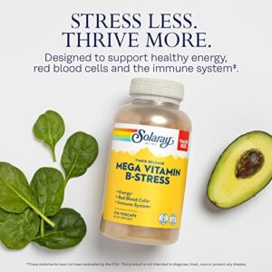 SOLARAY Mega Vitamin B-Stress, Timed-Release Vitamin B Complex with 1000 mg of Vitamin C for Stress, Energy, Red Blood Cell & Immune Support, 60 Day Guarantee, Vegan (276 CT)