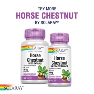 SOLARAY CircuLegs w/ Horse Chestnut Extract, Gotu Kola & More | Healthy Leg Circulation Support (60 Serv, 120 VegCaps)