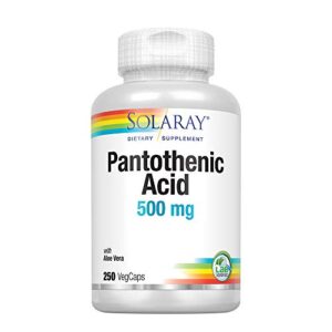 solaray pantothenic acid 500mg | vitamin b-5 for coenzyme-a production & energy metabolism | for hair, skin, nails & digestive support | 250 vegcaps