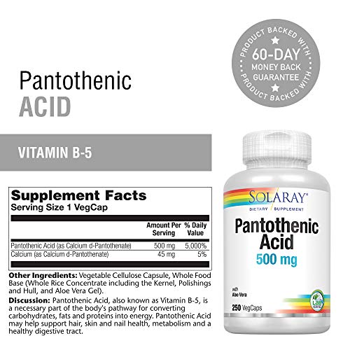 SOLARAY Pantothenic Acid 500mg | Vitamin B-5 for Coenzyme-A Production & Energy Metabolism | for Hair, Skin, Nails & Digestive Support | 250 VegCaps