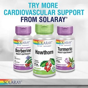 SOLARAY Fermented Beet Root Supplement | Athletic Performance, Circulation & Heart Health Support, 100 Serv, 100 VegCaps