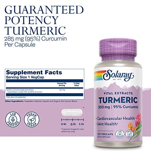 SOLARAY Turmeric Root Extract 300mg, Joint & Heart Health Support, Guaranteed Potency Extract (120 CT)