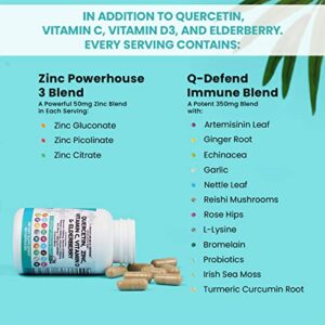 Quercetin 1000mg Zinc 50mg Vitamin C 1000mg Vitamin D 5000 IU Bromelain Elderberry - Lung Immune Defense Support Supplement Adults with Artemisinin, Sea Moss, Echinacea, Garlic Immunity Allergy Relief