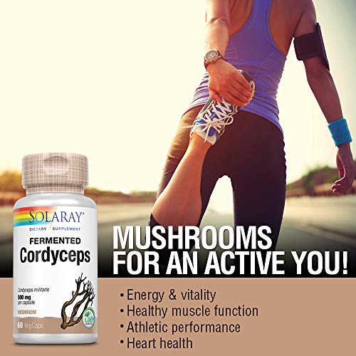 SOLARAY Fermented Cordyceps Mushroom 500 mg | Healthy Heart Function, Energy & Stamina Support | 60 VegCaps, 30 Servings