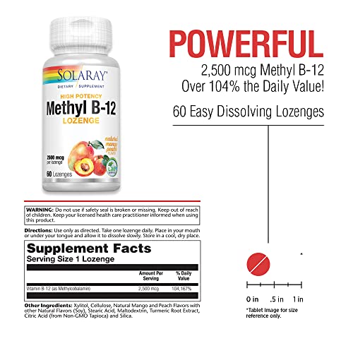 Solaray, B-12 Methyl Lozenge, 60 Count