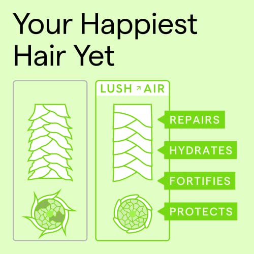 Lush Air 𝗪𝗜𝗡𝗡𝗘𝗥 𝟮𝟬𝟮𝟯* Hair Mask for Dry and Damaged Hair, Hair Treatment for Nourishing and Hydrating Dry Hair, Vegan and Cruelty Free, 8 Fl Oz