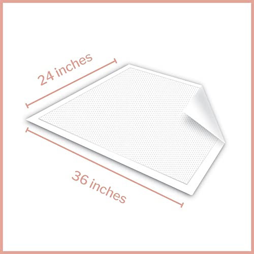 McKesson Maximum Breathable Underpads, Incontinence, Maximum Absorbency, 24 in x 36 in, 70 Count