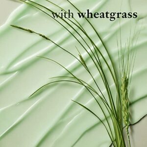 philosophy nature in a jar skin rehab balm with wheatgrass, 2.5 fl. oz.