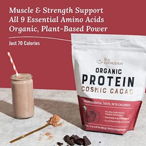 Live Conscious Organic Pea Protein Powder - Cosmic Cacao Chocolate Flavor | Low-carb Plant-Based Vegan Protein Blend - Pea, Brown Rice, Pumpkin, Sacha Inchi | 20 Servings, 17 oz