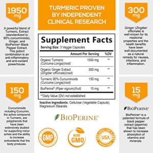 Turmeric Curcumin with BioPerine & Ginger 95% Standardized Curcuminoids 1950mg - Black Pepper for Max Absorption, Natural Joint Support, Nature's Tumeric Extract Supplement Non-GMO - 120 Capsules