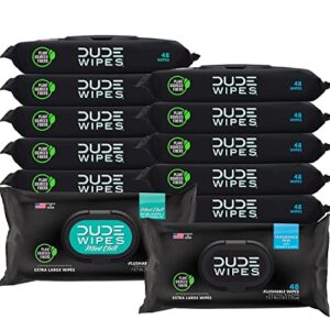 dude wipes flushable wipes – 12 pack, 576 wipes – unscented & mint chill combo, wet wipes with vitamin-e & aloe for at-home use – septic and sewer safe