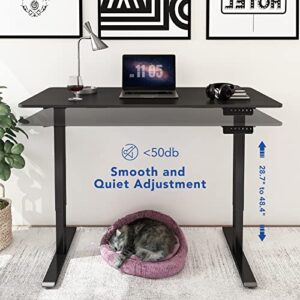 FLEXISPOT EN1 Standing Desk Height Adjustable Desk 48 Inches Whole-Piece Desktop Electric Sit Stand Up Desk Memory ControllerHome Office Desks (Black Frame + 48" Black Table Top, 2 Packages)