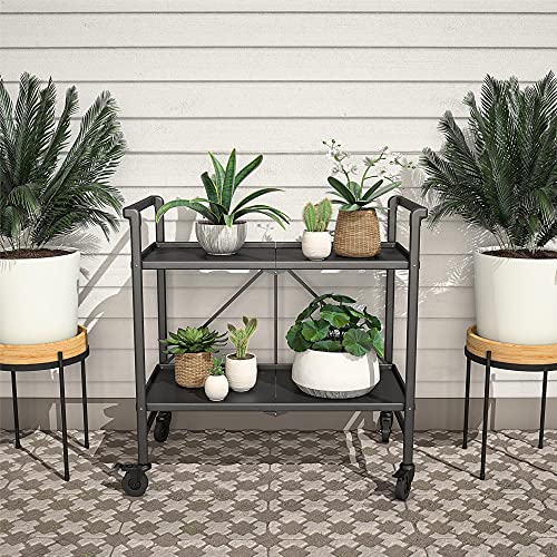 Cosco Outdoor Living INTELLIFIT Outdoor Or Indoor Folding 2 Shelves, Black Serving Cart