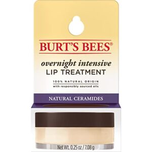 Burt's Bees Lip Care Easter Basket Stuffers, Moisturizing Overnight Intensive Treatment Spring Gift, for All Day Hydration, Ultra Conditioning Moisturizer, 0.25 Ounce (Packaging May Vary)