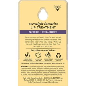 Burt's Bees Lip Care Easter Basket Stuffers, Moisturizing Overnight Intensive Treatment Spring Gift, for All Day Hydration, Ultra Conditioning Moisturizer, 0.25 Ounce (Packaging May Vary)