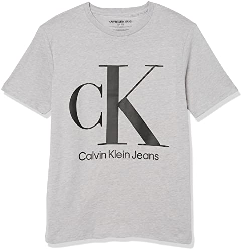 Calvin Klein Boys' Big Classic Logo Crew Neck Tee, Light Grey Heather Ck, 8