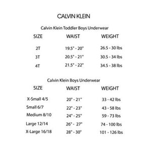 Calvin Klein Boys' Assorted Boxer Briefs (Pack of 2), New Black/Heather Gray, Extra-Small (4/5)