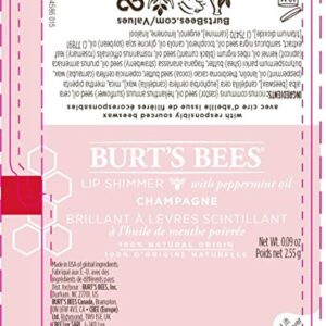 Burt's Bees Lip Balm Easter Basket Stuffers, Moisturizing Lip Shimmer Spring Gift for Women, for All Day Hydration, with Vitamin E & Coconut Oil, 100% Natural, Champagne, 0.09 Ounce