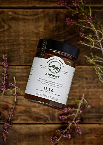 Ancient Foods Ilia Wild Forest and Thyme Honey – Greek Mountain Honey, Raw, Unfiltered Pine Honey from Vordonia, Greece (16oz)