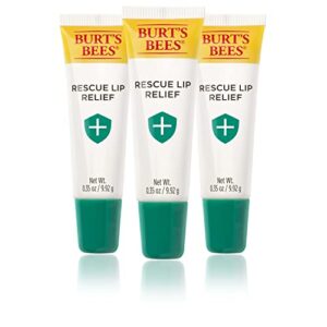 Burt’s Bees Lip Balm Rescue Lip Relief - Relieves Extremely Dry Lips with Moisturizing Shea Butter & Echinacea, 100% Natural Origin (3 pack)