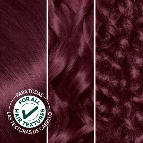 Garnier Hair Color Nutrisse Nourishing Creme, 42 Deep Burgundy (Black Cherry) Red Permanent Hair Dye, 1 Count (Packaging May Vary)