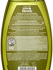 Garnier Whole Blends Replenishing Shampoo Legendary Olive, Dry Hair, 12.5 fl. oz.