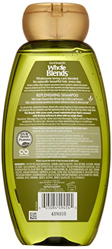 Garnier Whole Blends Replenishing Shampoo Legendary Olive, Dry Hair, 12.5 fl. oz.