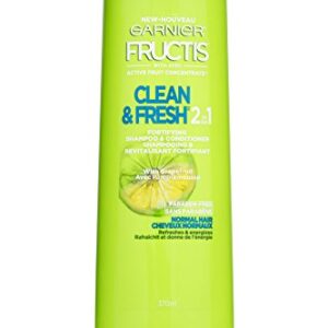 Garnier Hair Care Fructis Daily Care 2-in-1 Shampoo and Conditioner, 12.5Fl Oz