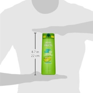 Garnier Hair Care Fructis Daily Care 2-in-1 Shampoo and Conditioner, 12.5Fl Oz